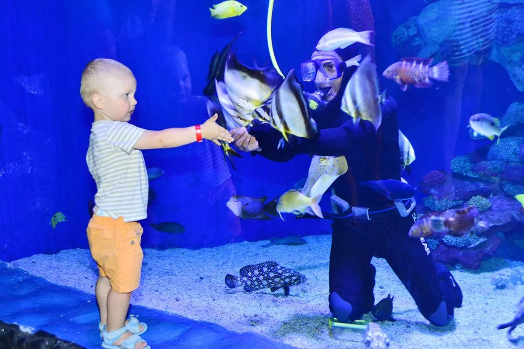 Hurghada Grand Aquarium tickets and transfer