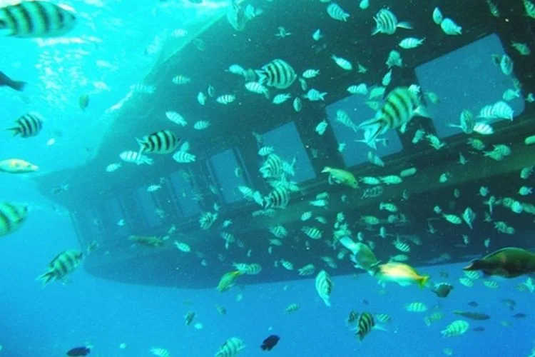 Glass Bottom Boat trip in Hurghada