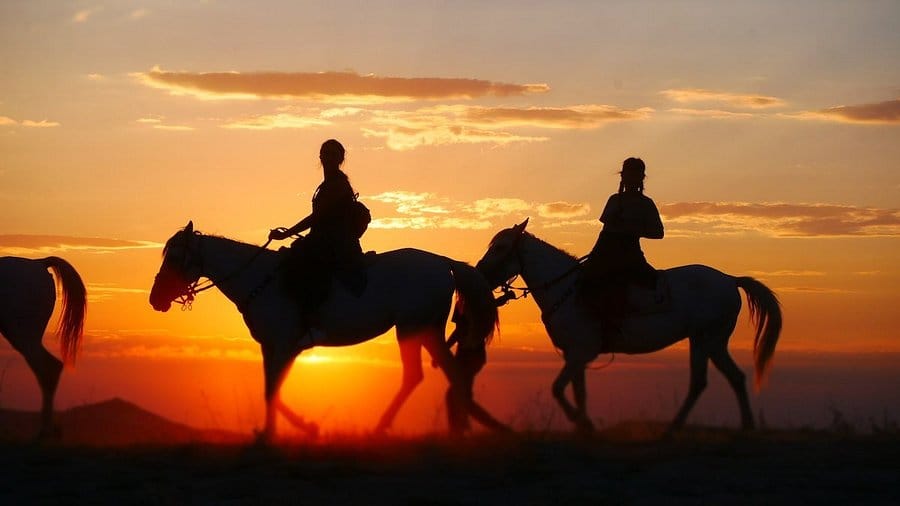 Horse Riding Adventure in Hurghada
