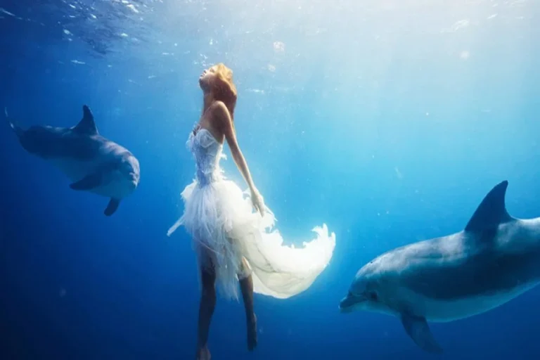 Dolphin-House-Hurghada-Day-Tour-q9cyf7n6tjlpp100cnel7ct2buvk4fhnh5yo80cgvk