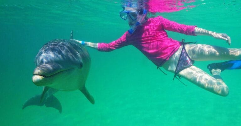 dolphin-swim-and-snorkel-mahogany-bay-isla-roatan-14